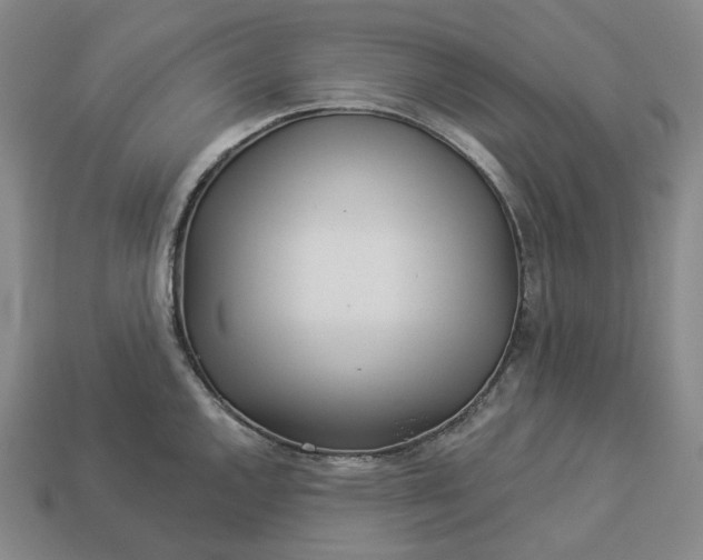 X0000112941144200909071049