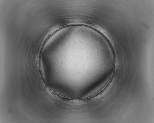 X0000112941145200909071049