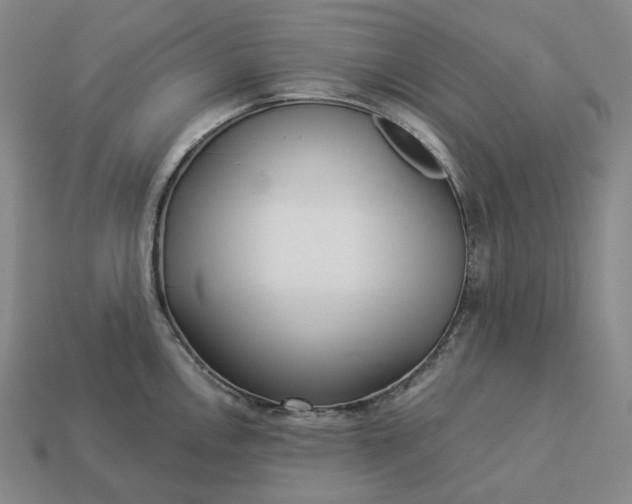 X0000112941146200909071049