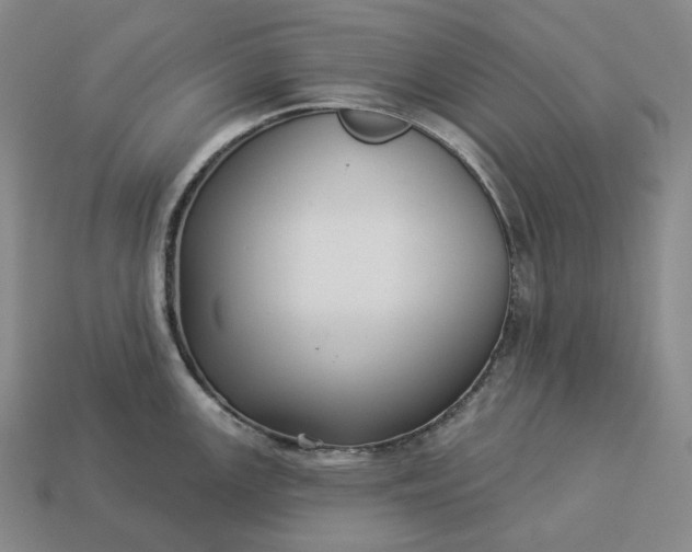 X0000112941147200909071049