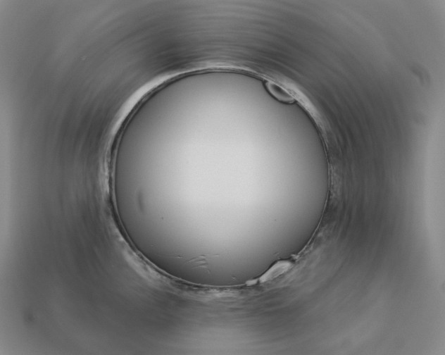 X0000112941148200909071049