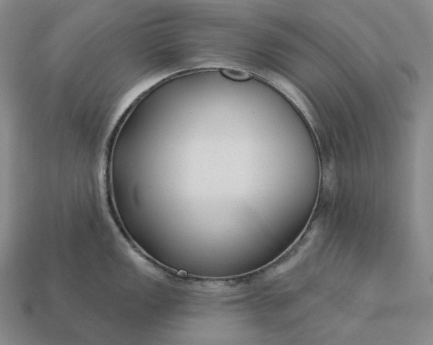 X0000112941149200909071049