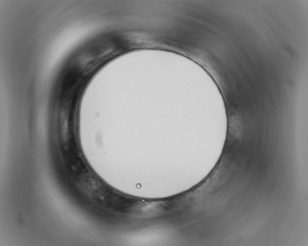 X0000112941150200909071049