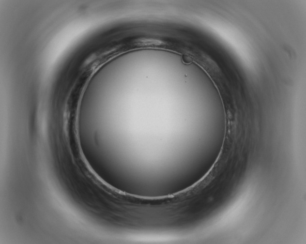 X0000112941151200909071049