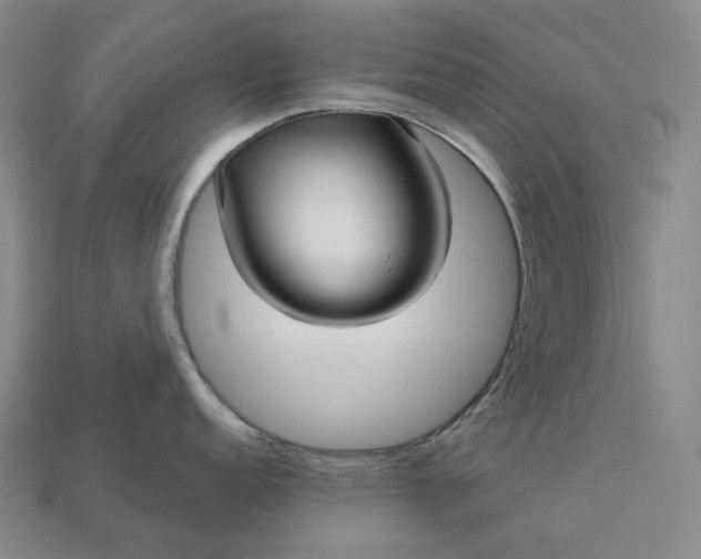 X0000112941152200909071049