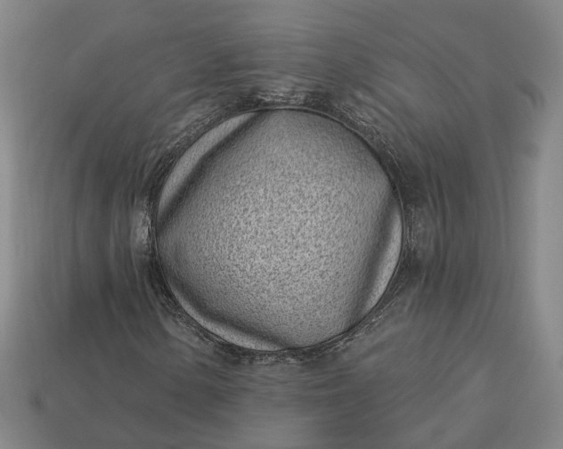 X0000112941154200909071048