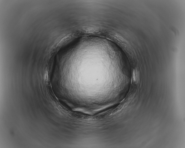 X0000112941155200909071048