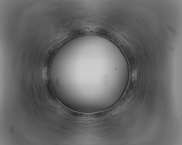 X0000112941156200909071048