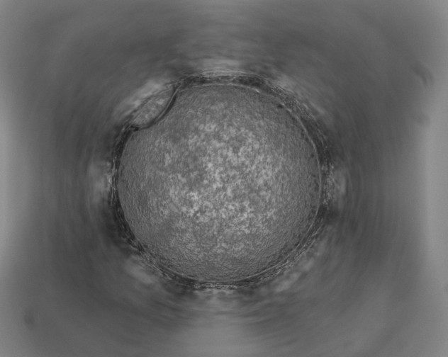 X0000112941157200909071048