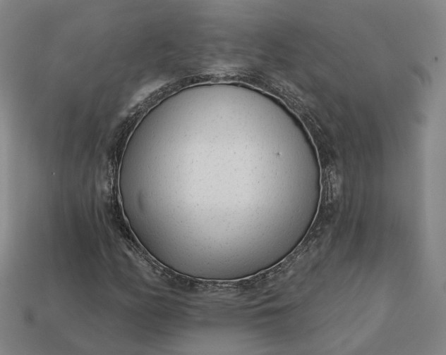 X0000112941158200909071048