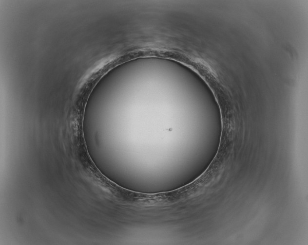 X0000112941159200909071048