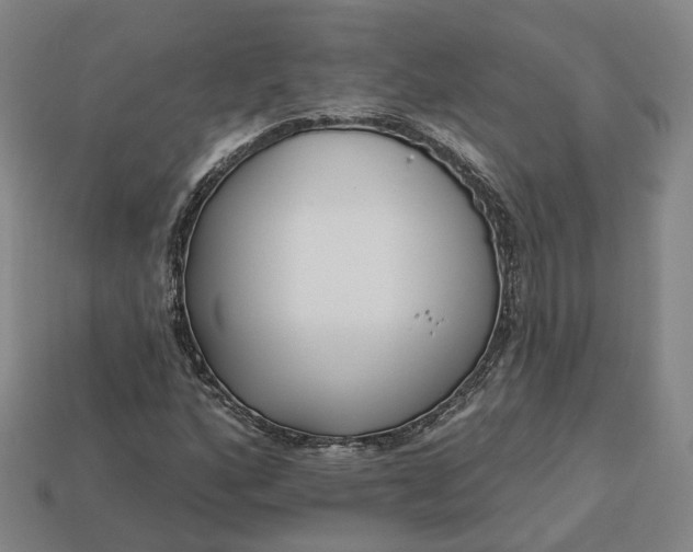 X0000112941160200909071048