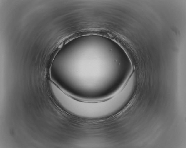 X0000112941161200909071048