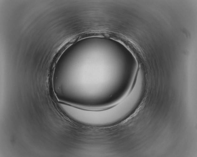 X0000112941162200909071048