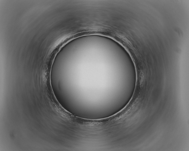 X0000112941163200909071048