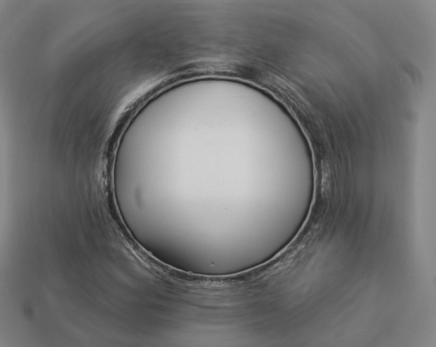 X0000112941164200909071048