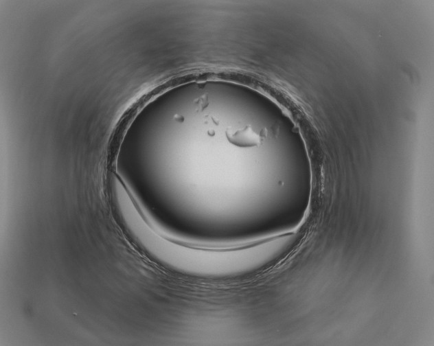 X0000112941165200909071048