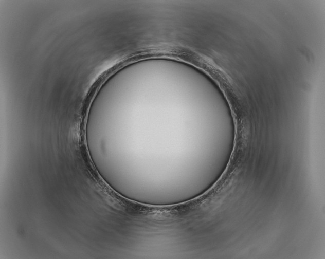 X0000112941166200909071048