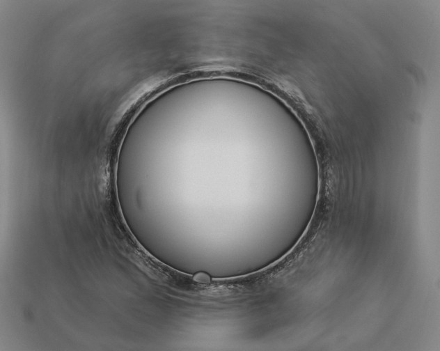 X0000112941167200909071048