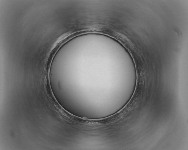 X0000112941168200909071048