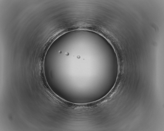 X0000112941169200909071048