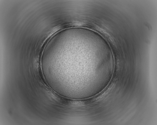 X0000112941170200909071048