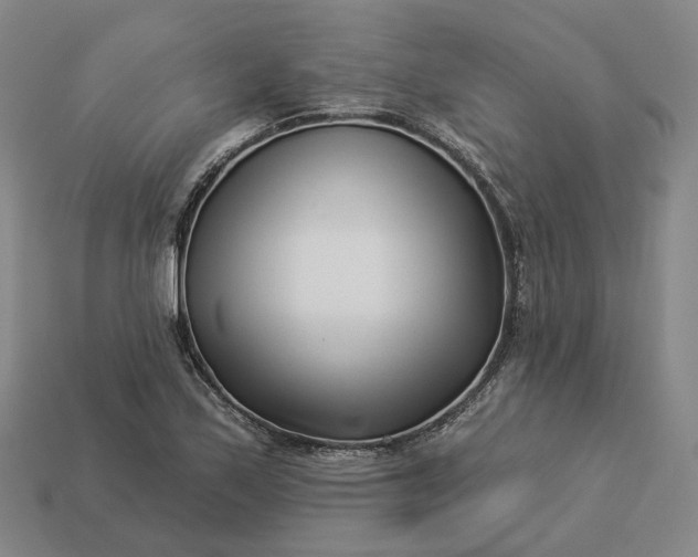 X0000112941171200909071048