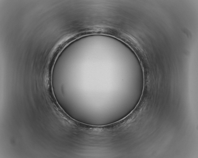 X0000112941172200909071048