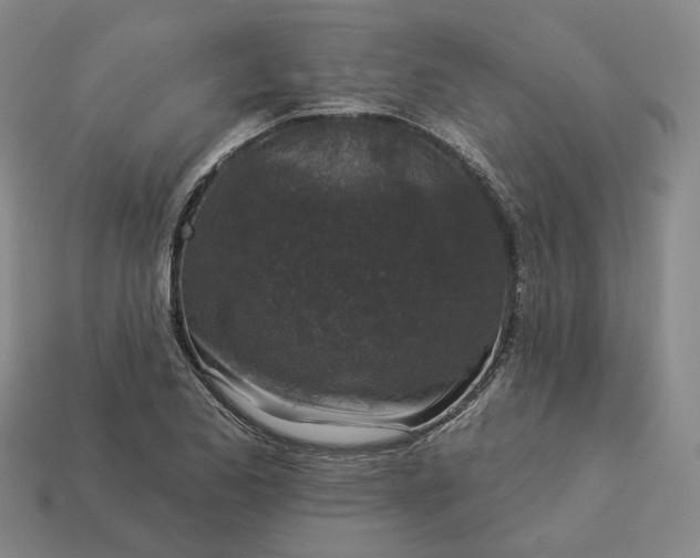 X0000112941173200909071048