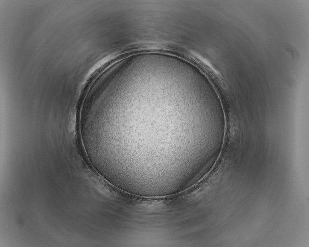 X0000112941174200909071048