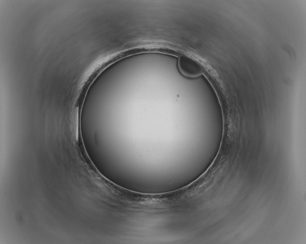 X0000112941175200909071048