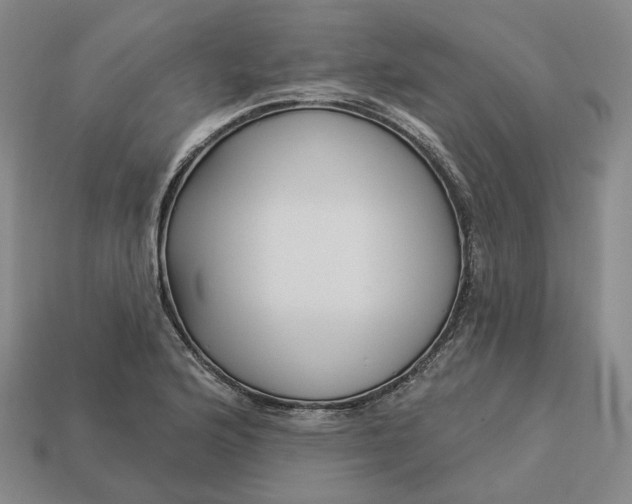 X0000112941176200909071048