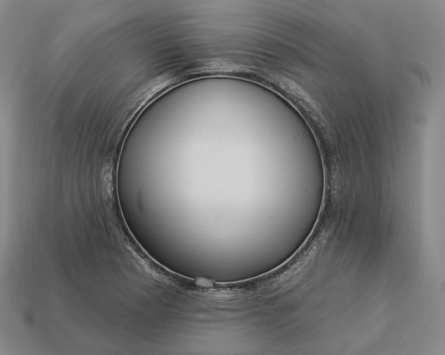 X0000112941177200909071048