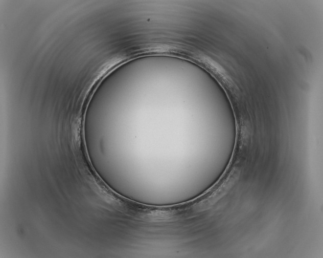 X0000112941178200909071048