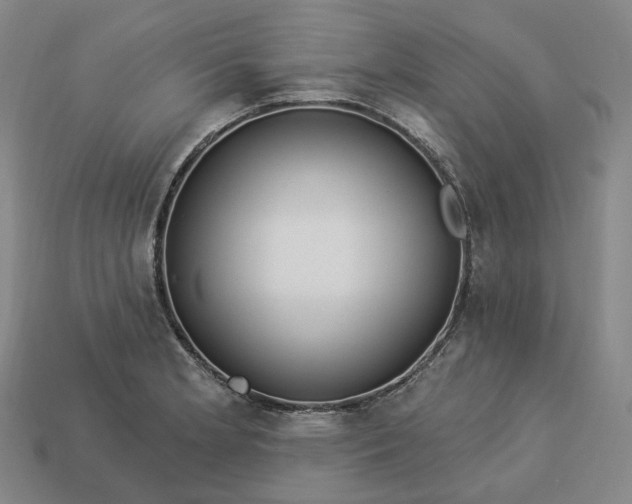 X0000112941181200909071048