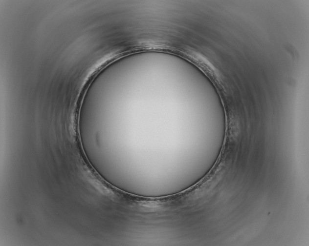 X0000112941182200909071048