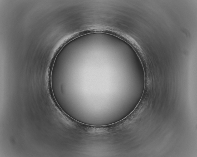 X0000112941183200909071048