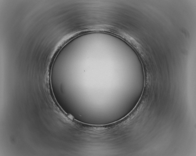 X0000112941184200909071048