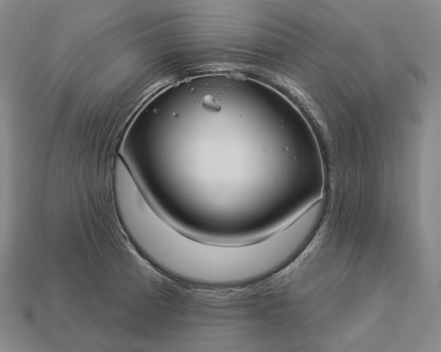 X0000112941185200909071048