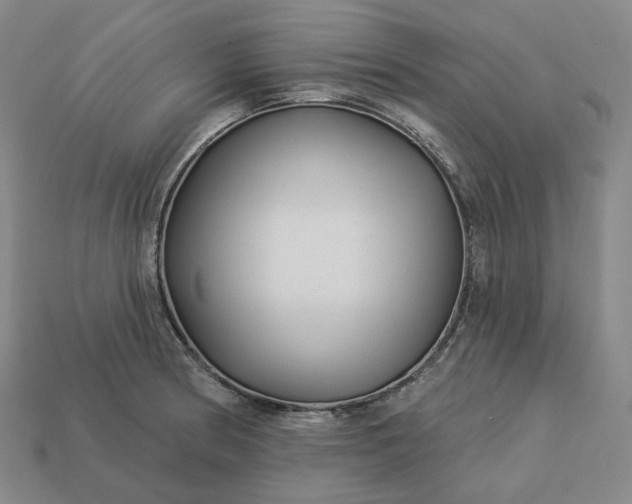 X0000112941186200909071048