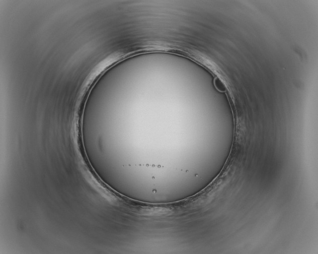 X0000112941187200909071048