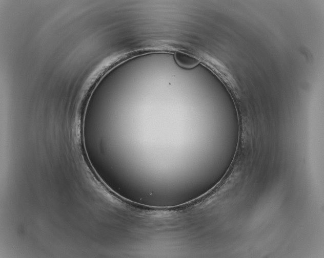 X0000112941188200909071048