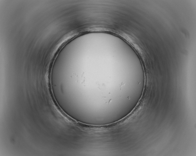 X0000112941189200909071048