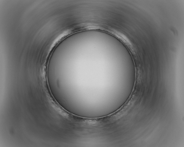 X0000112941190200909071048