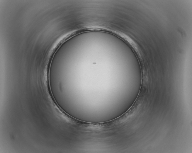 X0000112941191200909071048