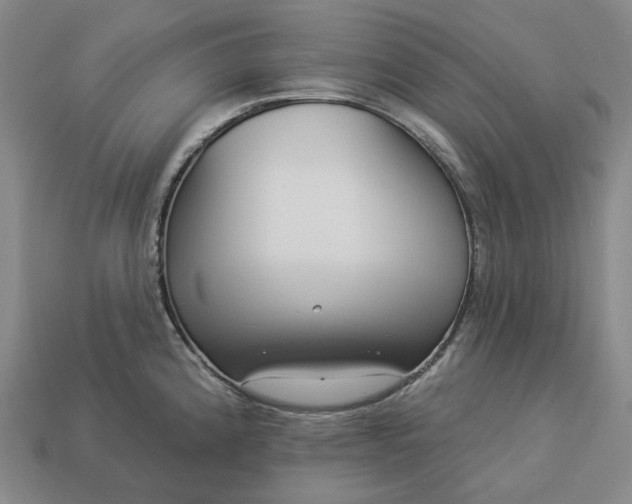 X0000112941192200909071048