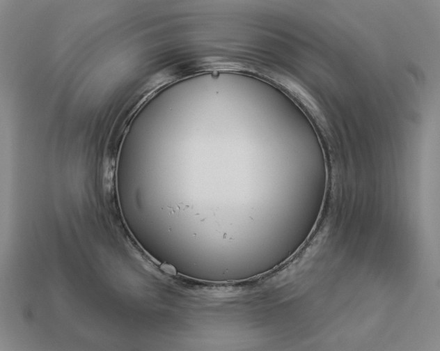 X0000112941193200909071048