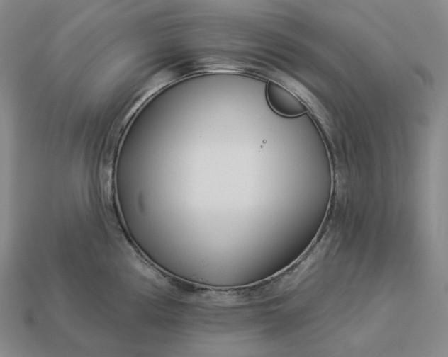 X0000112941194200909071048