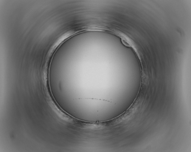 X0000112941195200909071048