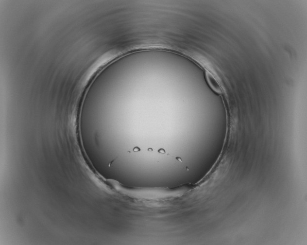 X0000112941197200909071048